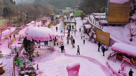 去冰雪冒险,去冒险奇幻旅行