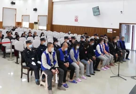 养殖集资诈骗8000万判刑案例,集资养殖诈骗案