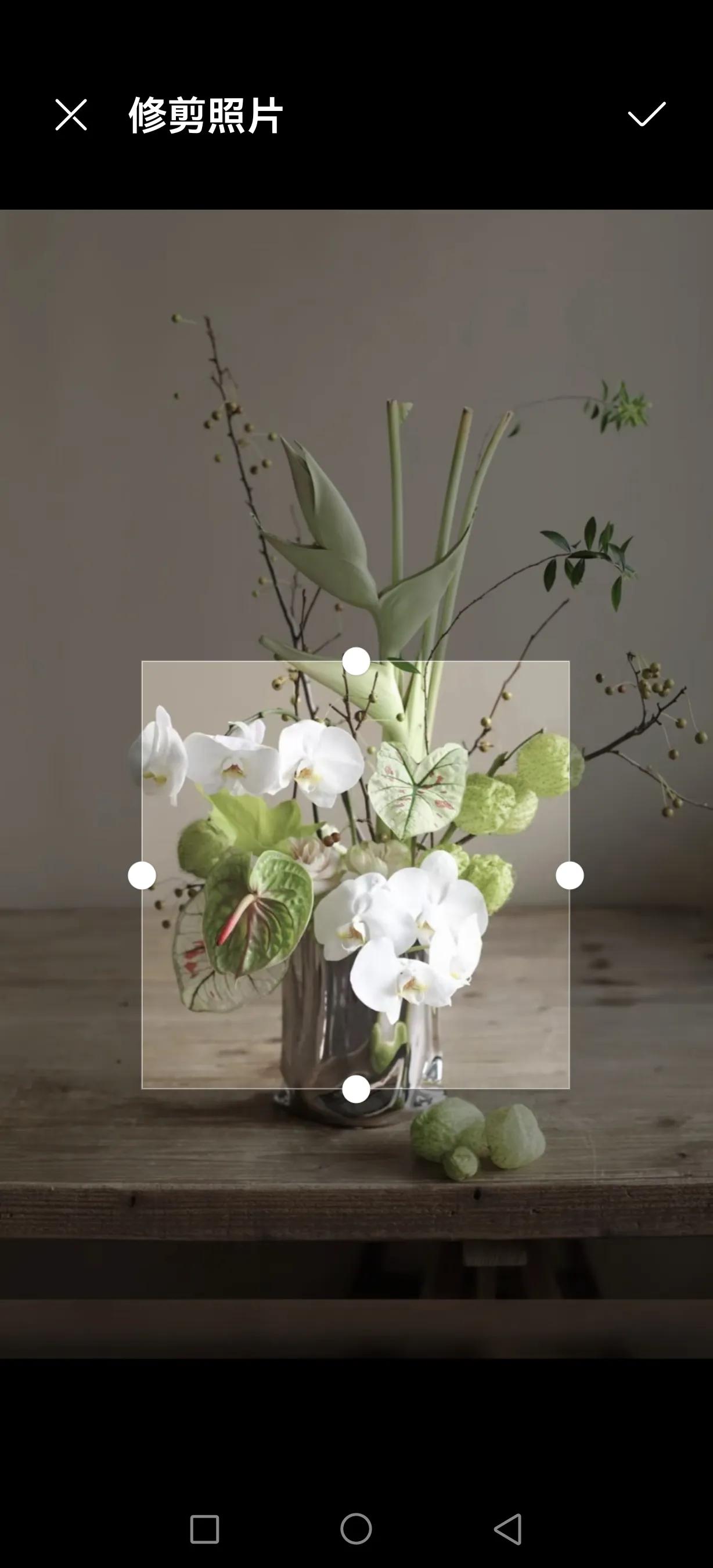 oppo更改手机软件图标,更改手机软件图标的软件