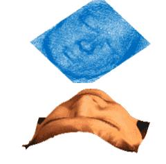 偏振特征,偏振的特征信息