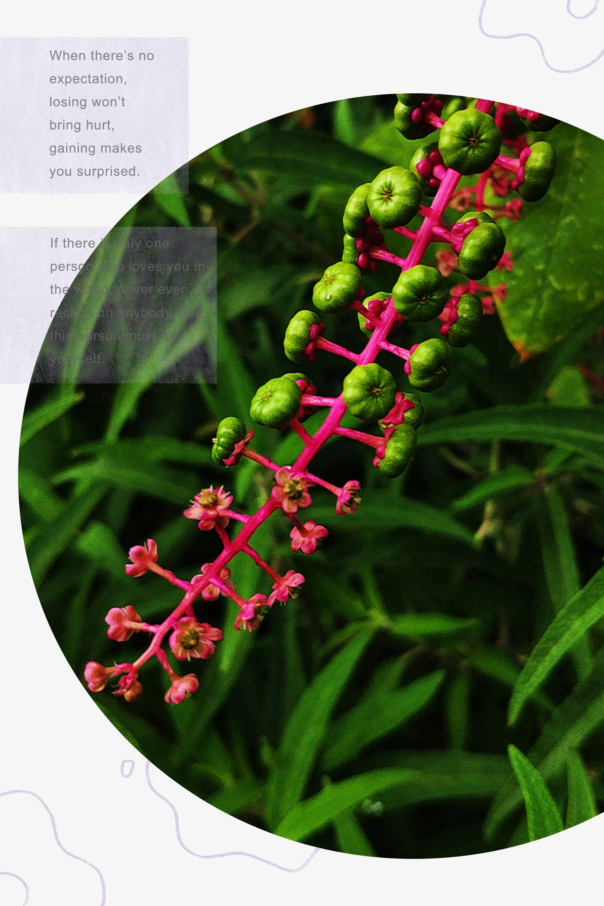 田园美景竖屏大图,乡村田园风景手机怎么拍