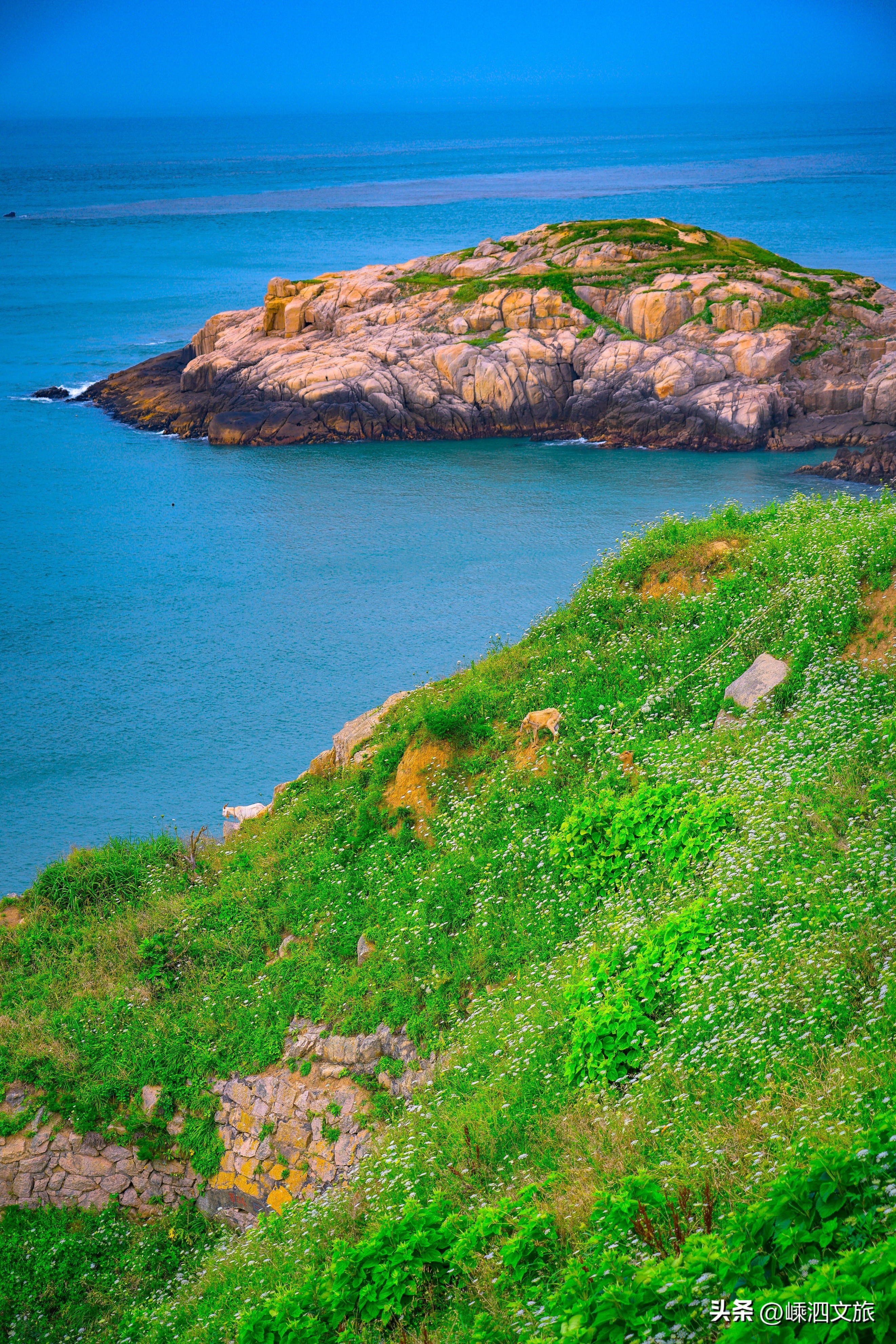 快用“Ctrl+”打开花鸟岛！