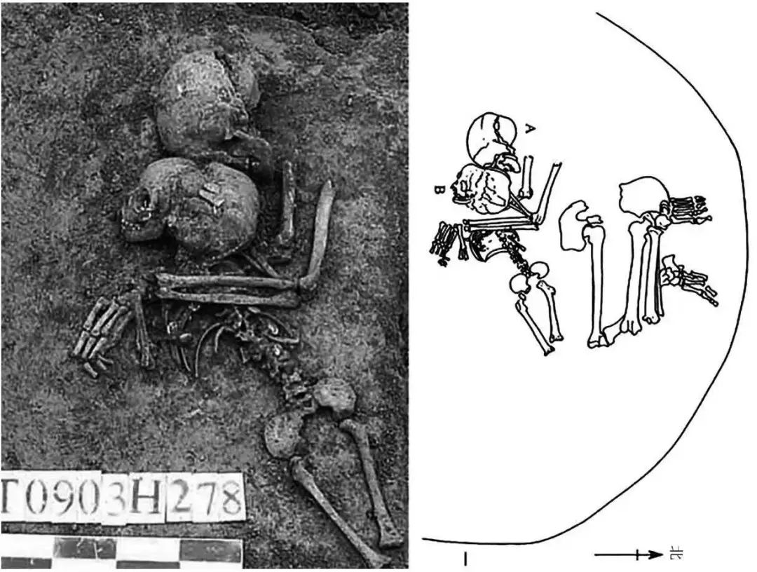 我们来自周，不来自商1：不忍直视的人牲