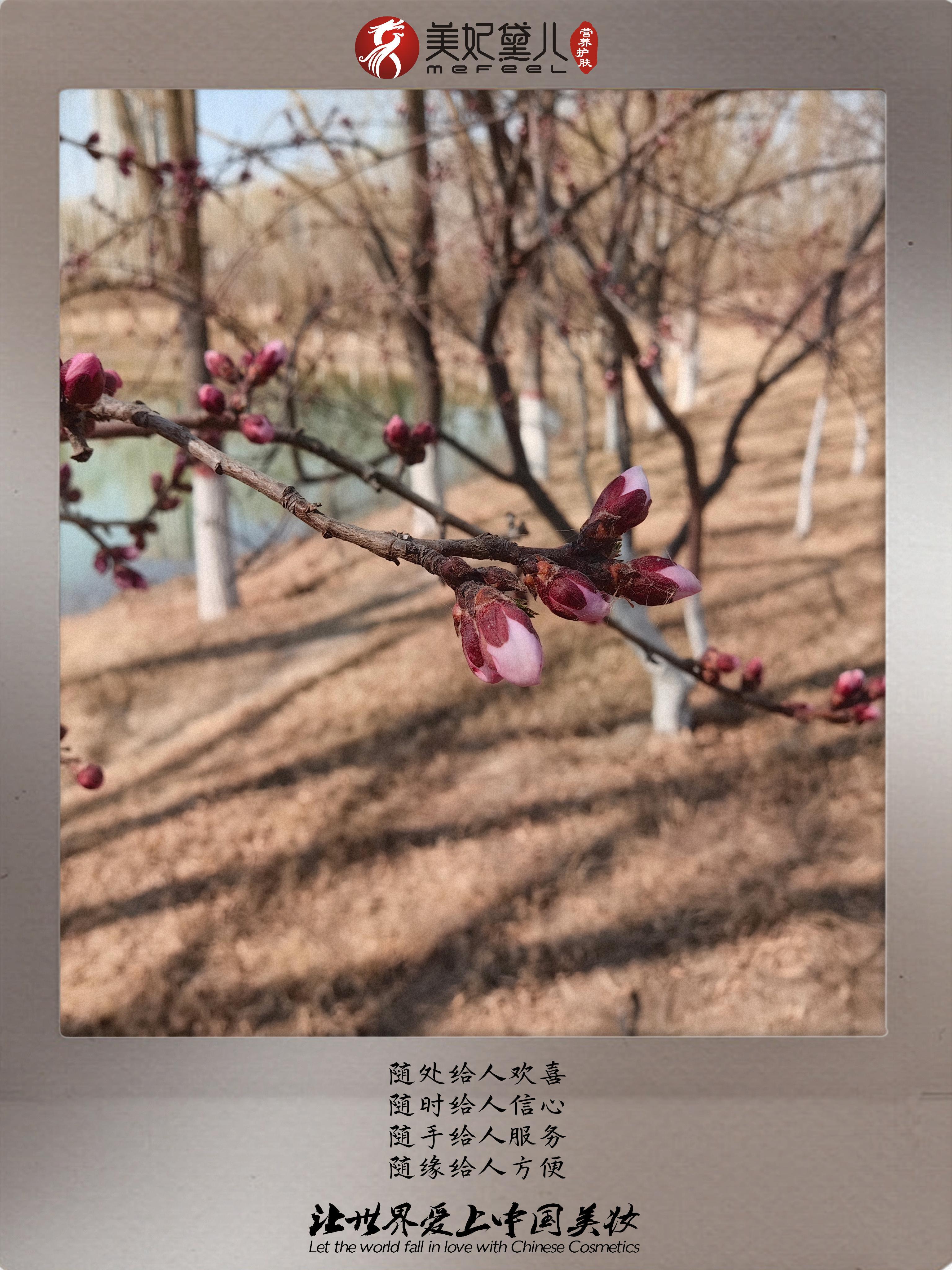 美妃黛儿：同向春风绽