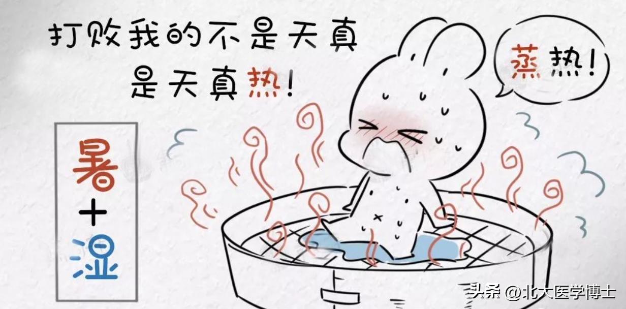 尿酸高湿气重如何调理,尿酸高湿气重如何饮食