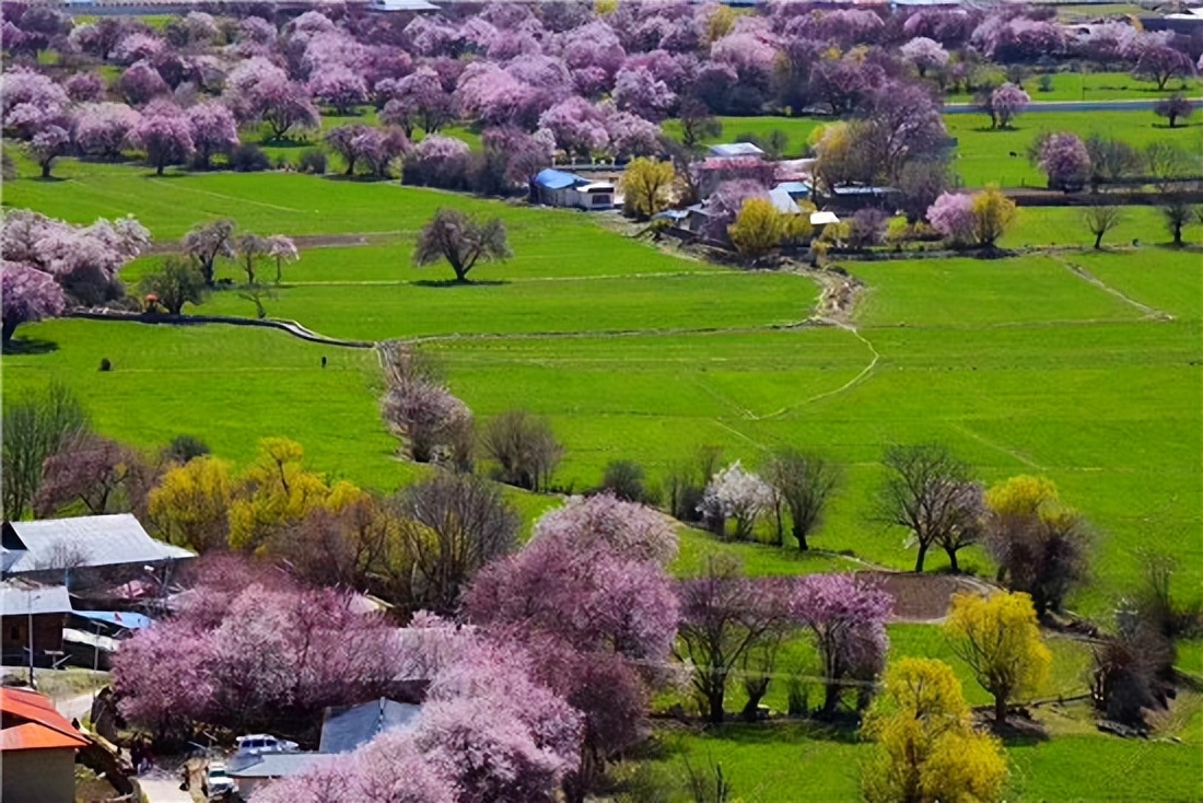 坐哪一趟火车去西藏是最佳的,火车去西藏为什么要绕一圈
