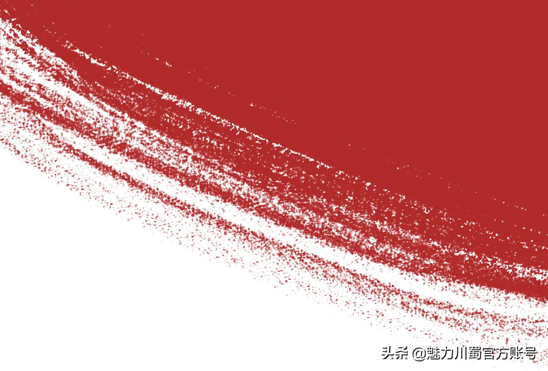 代码009，与未来快乐邂逅丨@中考学子，这里是绵阳中学实验学校