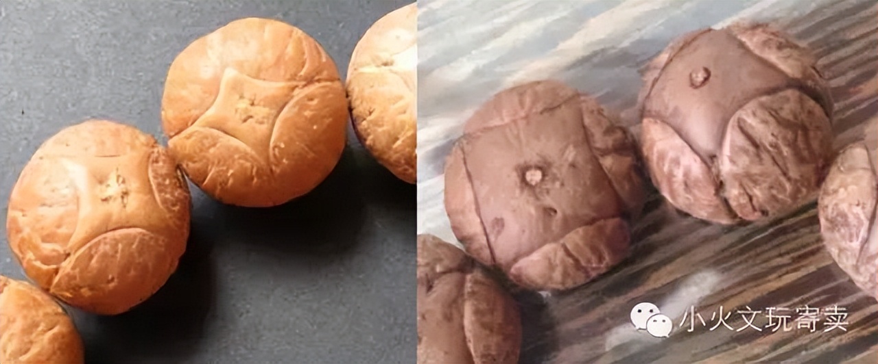 凤眼菩提20天效果,2023年凤眼菩提