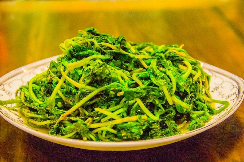 小时候吃的野菜视频,小时候吃的凉拌野菜