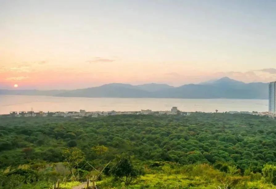 惠州融创云水湾海景房值得买吗,融创云水观棠值得投资吗