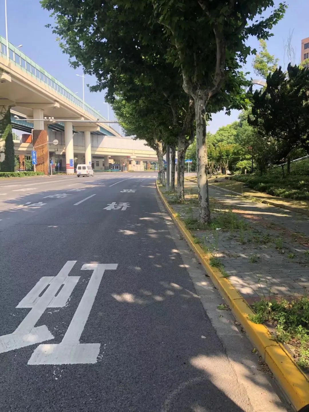 离沪返乡的心酸,上海返乡一路的艰辛