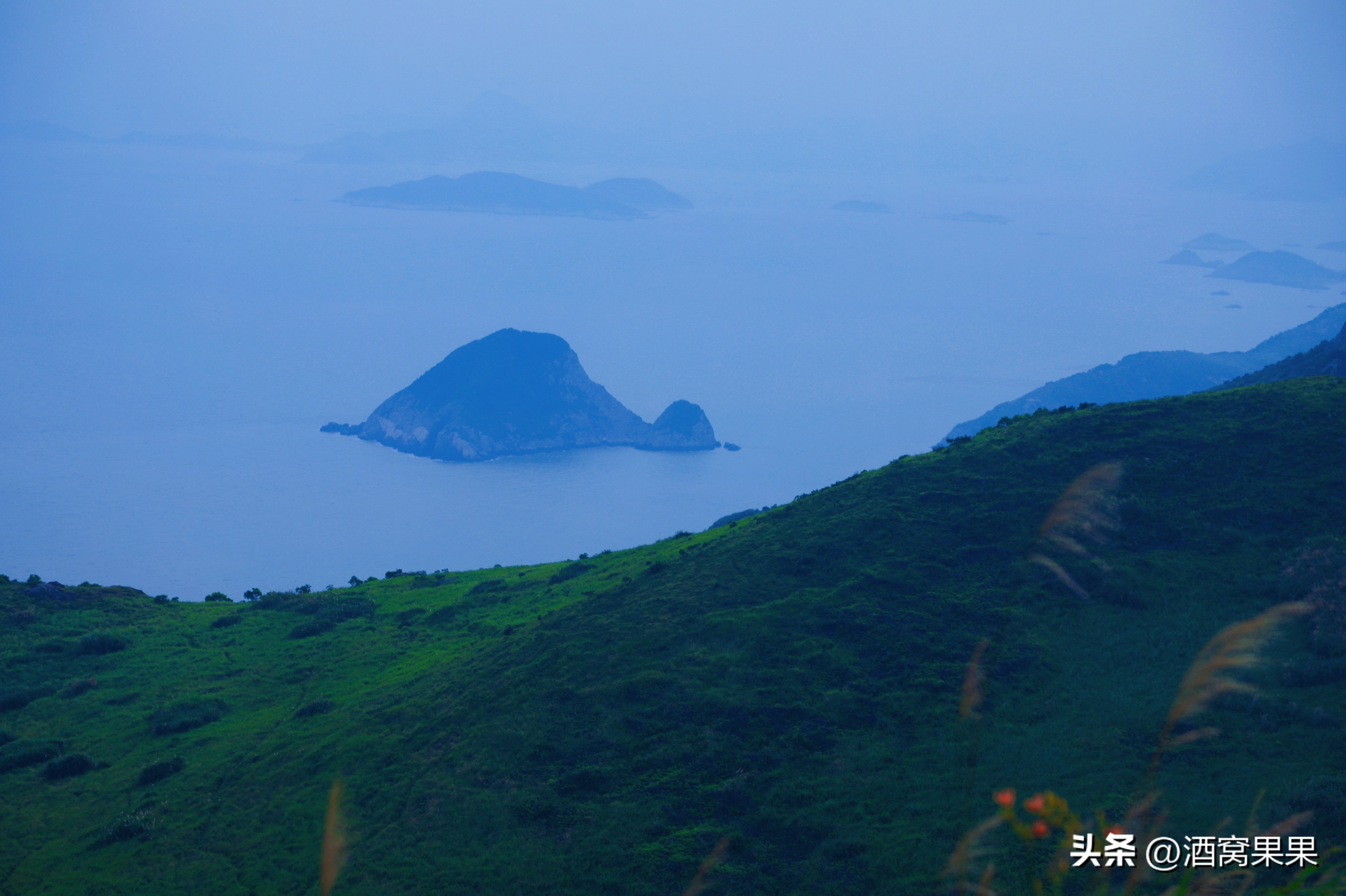 福鼎两天一夜旅游攻略,福鼎茶漫步茶园体验采茶之旅