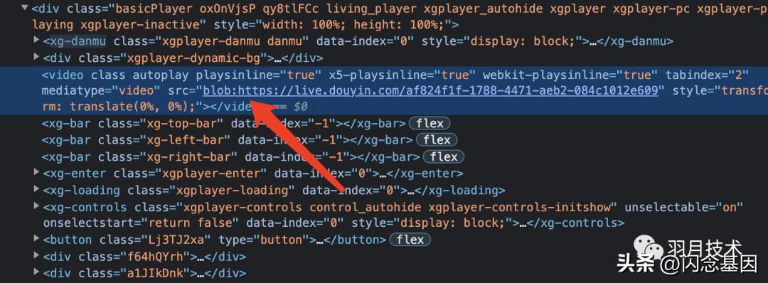 抖音直播推流机制内部,抖音直播推流码解析