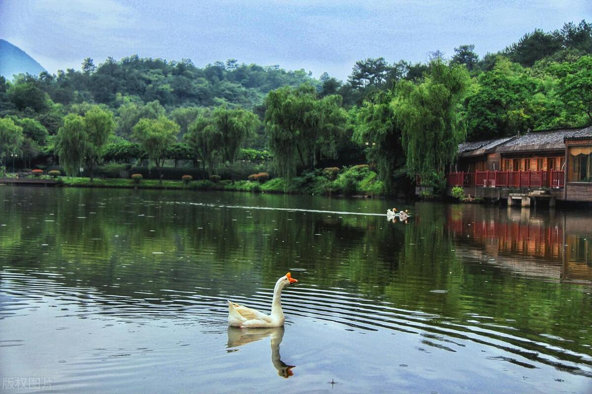 美丽中国之江苏,天目湖南山竹海美景