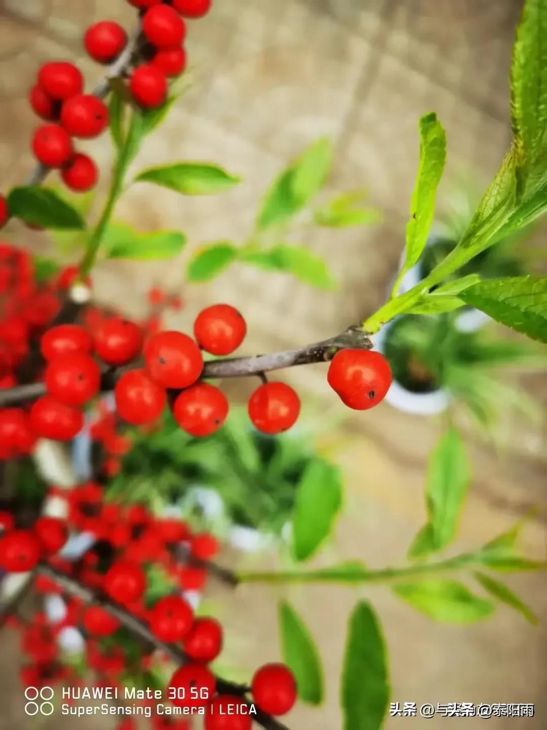 揭密徐长元腐败案被无限夸大背后隐藏的“玄机”