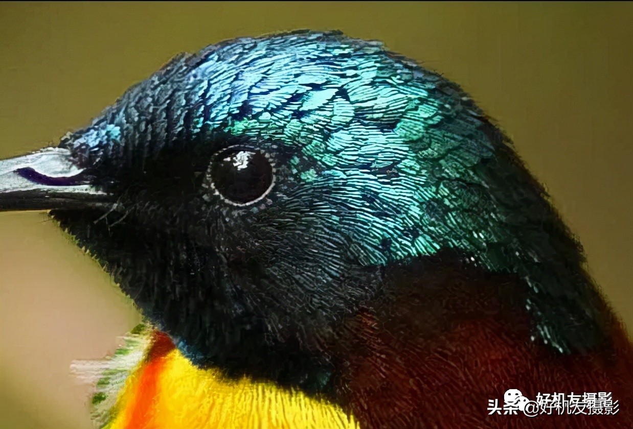 手机拍照片怎么拍出质感风景,拍的照片没有质感