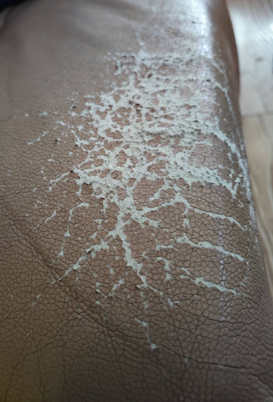 如何在淘宝上淘到正品货,淘宝里的东西是正品吗可信吗