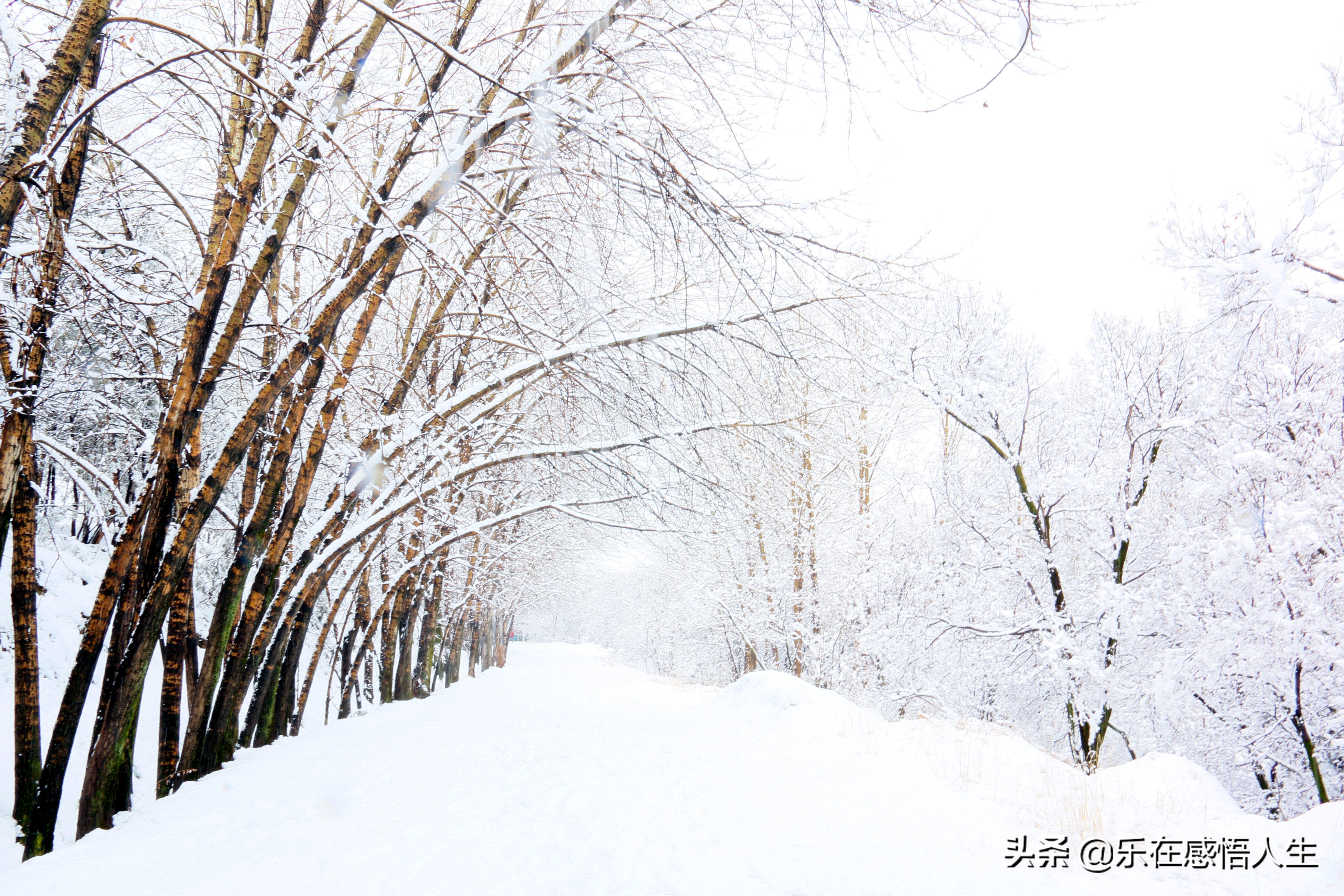 你以为北方的冬天是这样的,北方的冬季就是这样的
