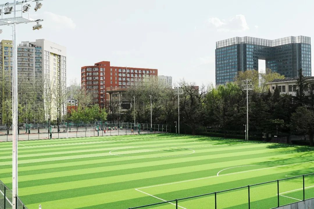 最新足球场改造消息,足球场升级改造