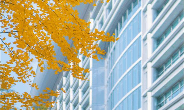 行业招聘|工行总行本部2023年暑期实习生招聘启动！