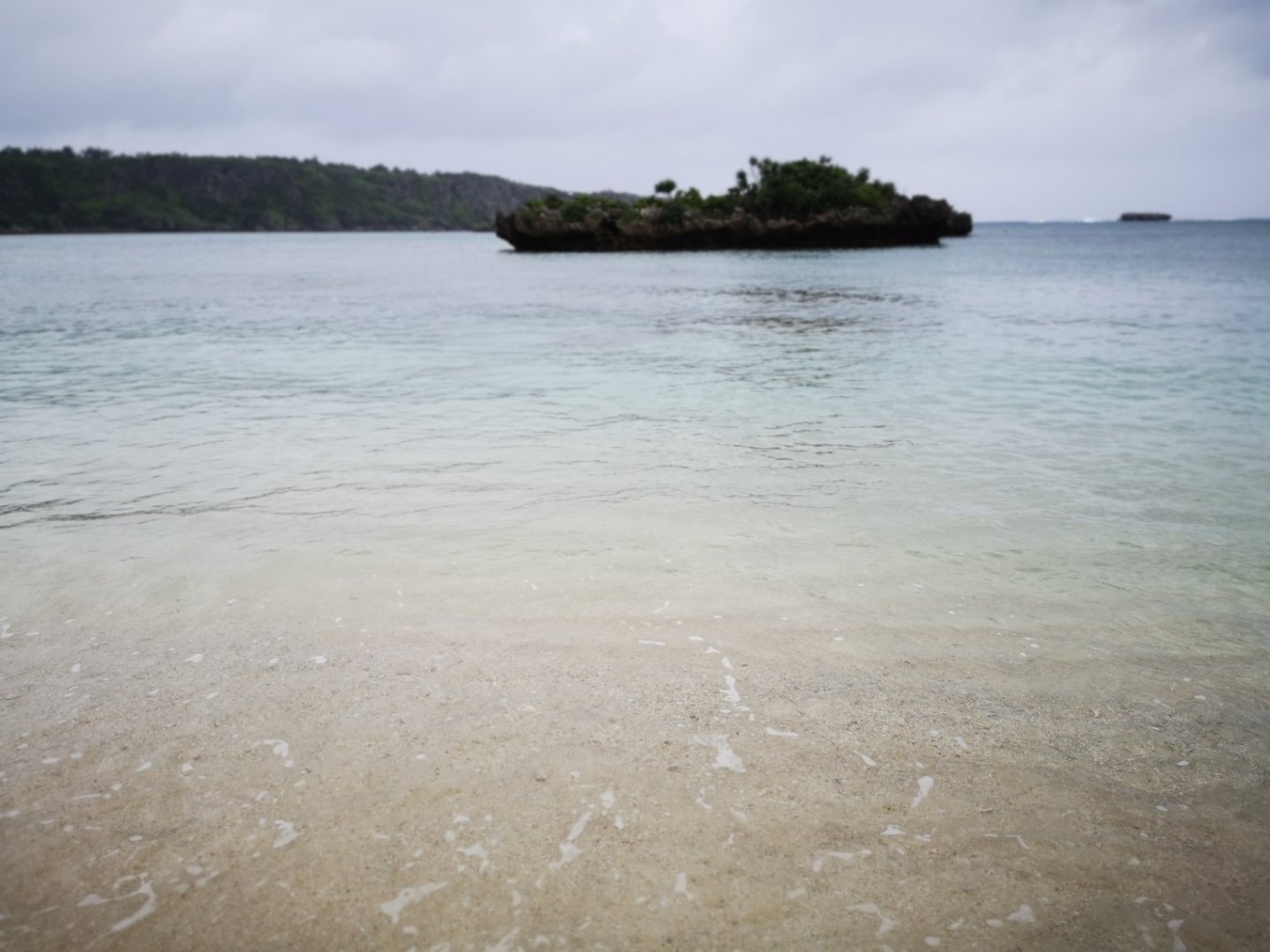 暑期档2019年,2019年暑期档