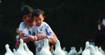 神农公园风景,神农公园的风景