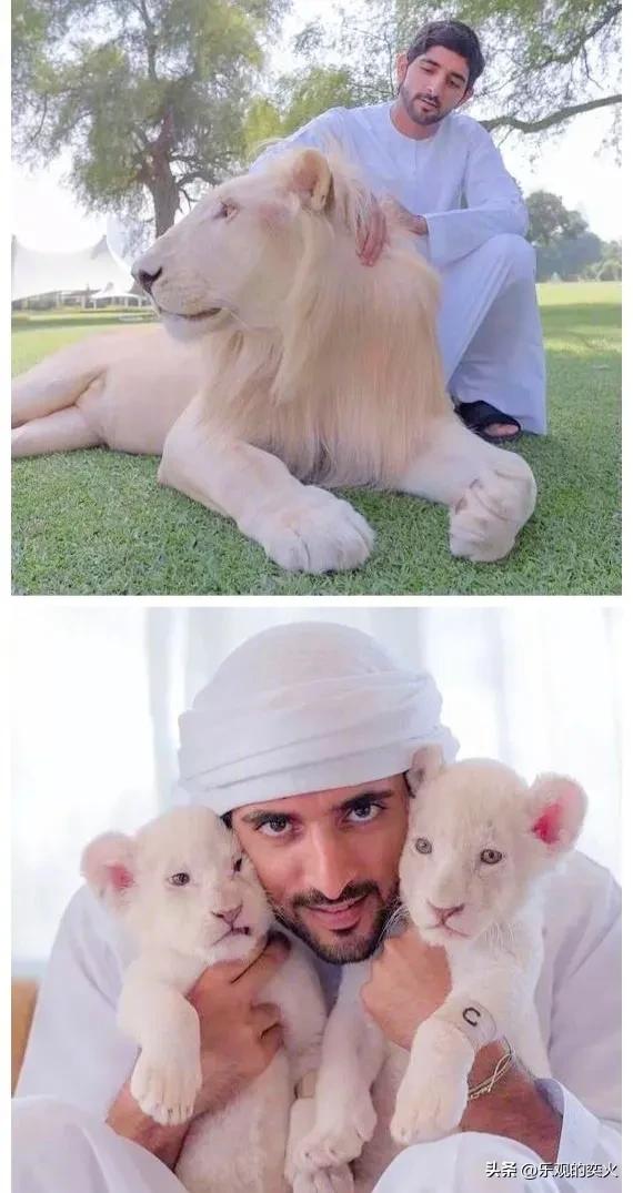 卡塔尔和迪拜哪个国家有钱,迪拜和卡塔尔哪个有钱