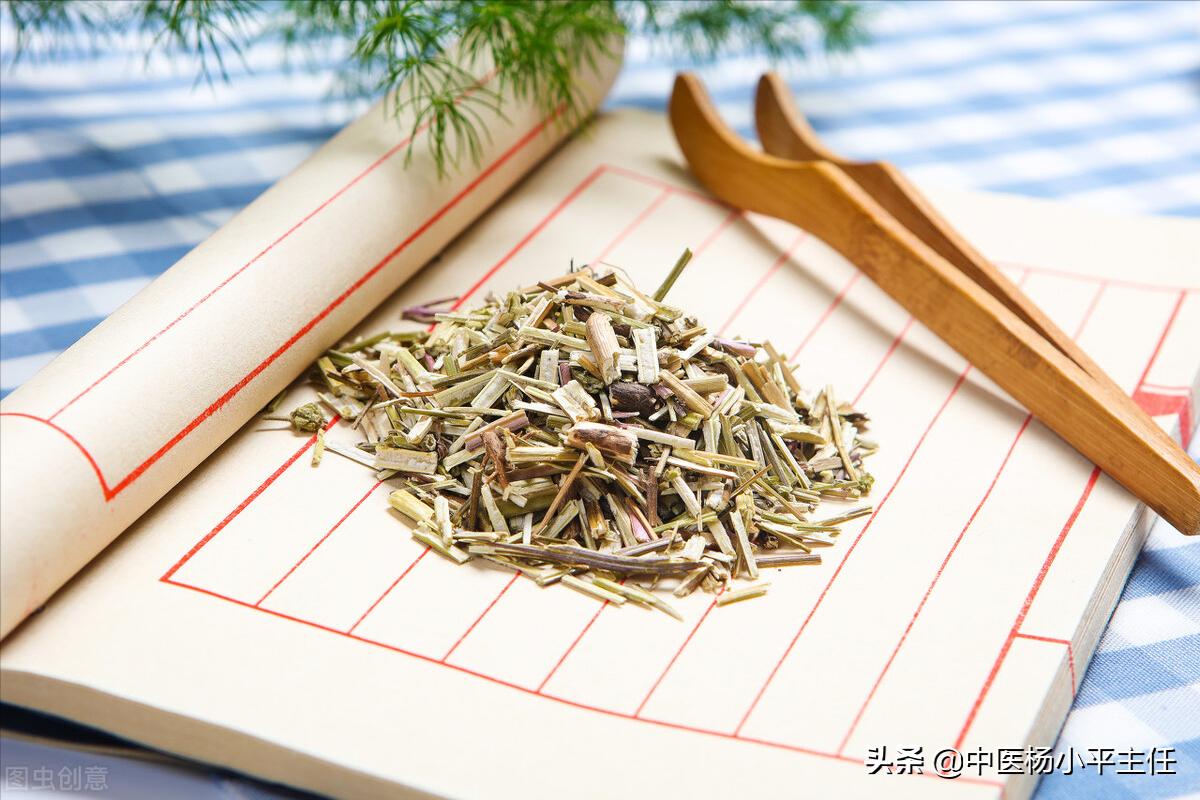 祛除体内湿热，张仲景这三味药，清热利胆很好用
