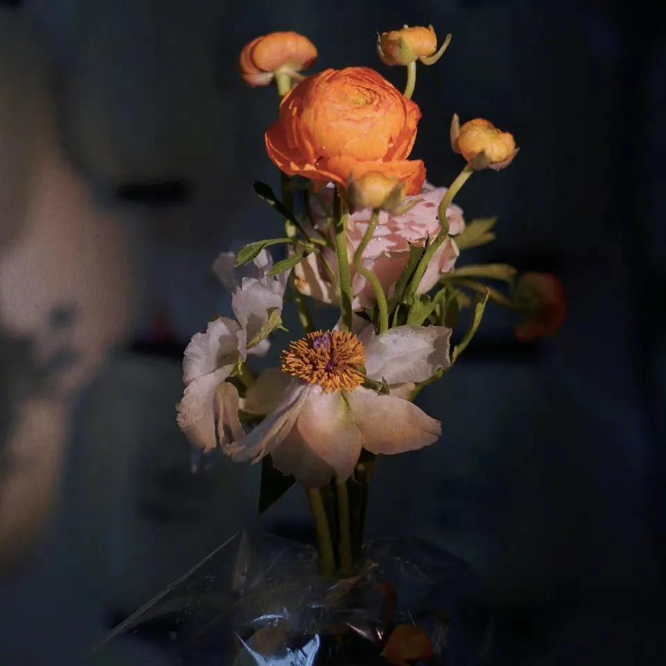 玫瑰花如何醒花教程,醒玫瑰花的正确方法