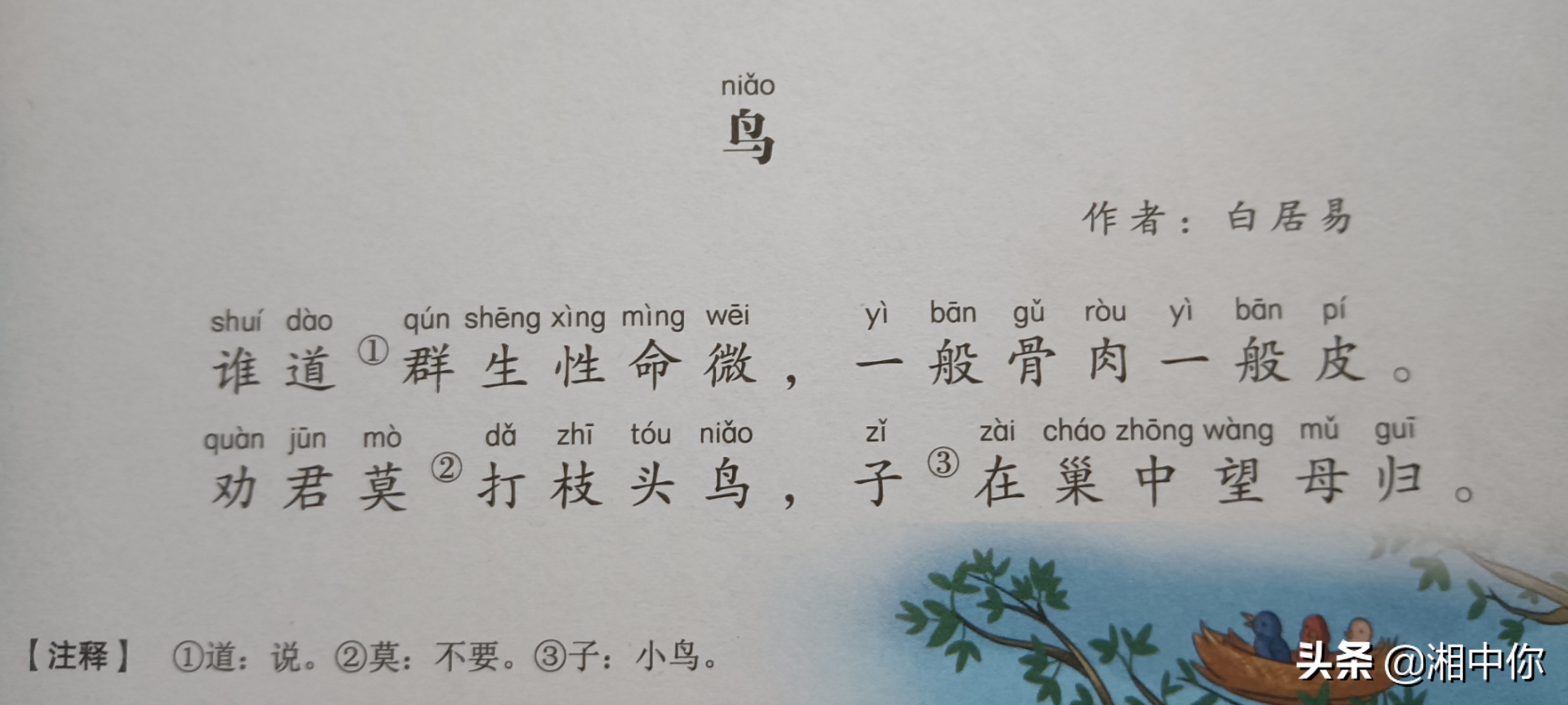 上下五千年龙的由来,中国历史龙的传说