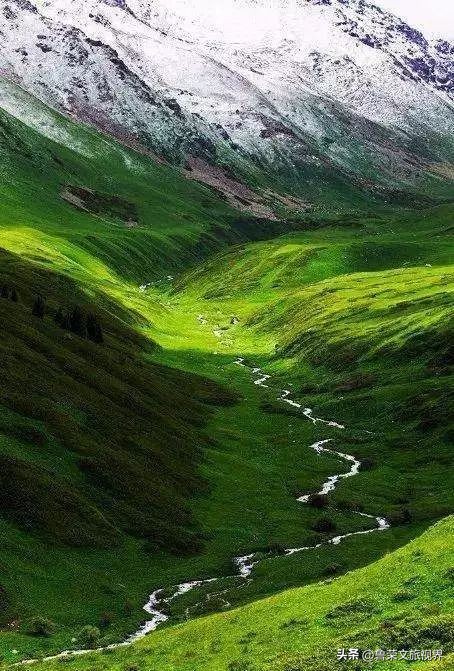 大美新疆的风景有哪些,大美新疆北疆美