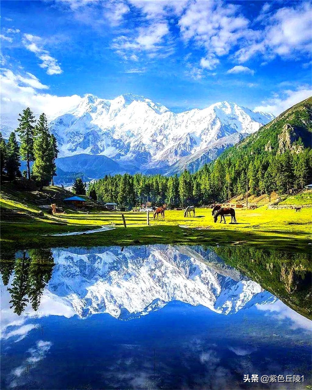 南亚国家外交活动,中国南亚多国