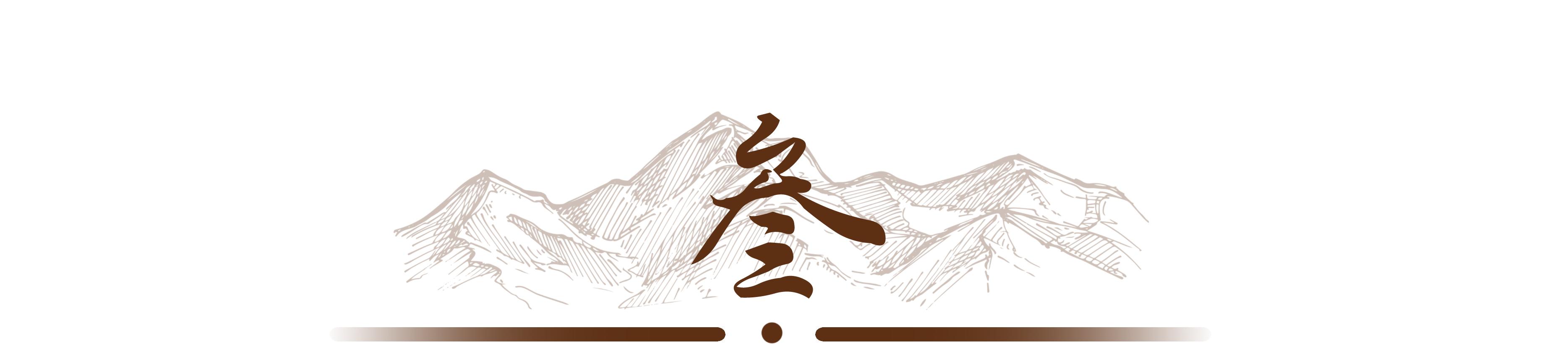 上海丁尚彪在日本打工的故事,丁尚彪在日本有多轰动