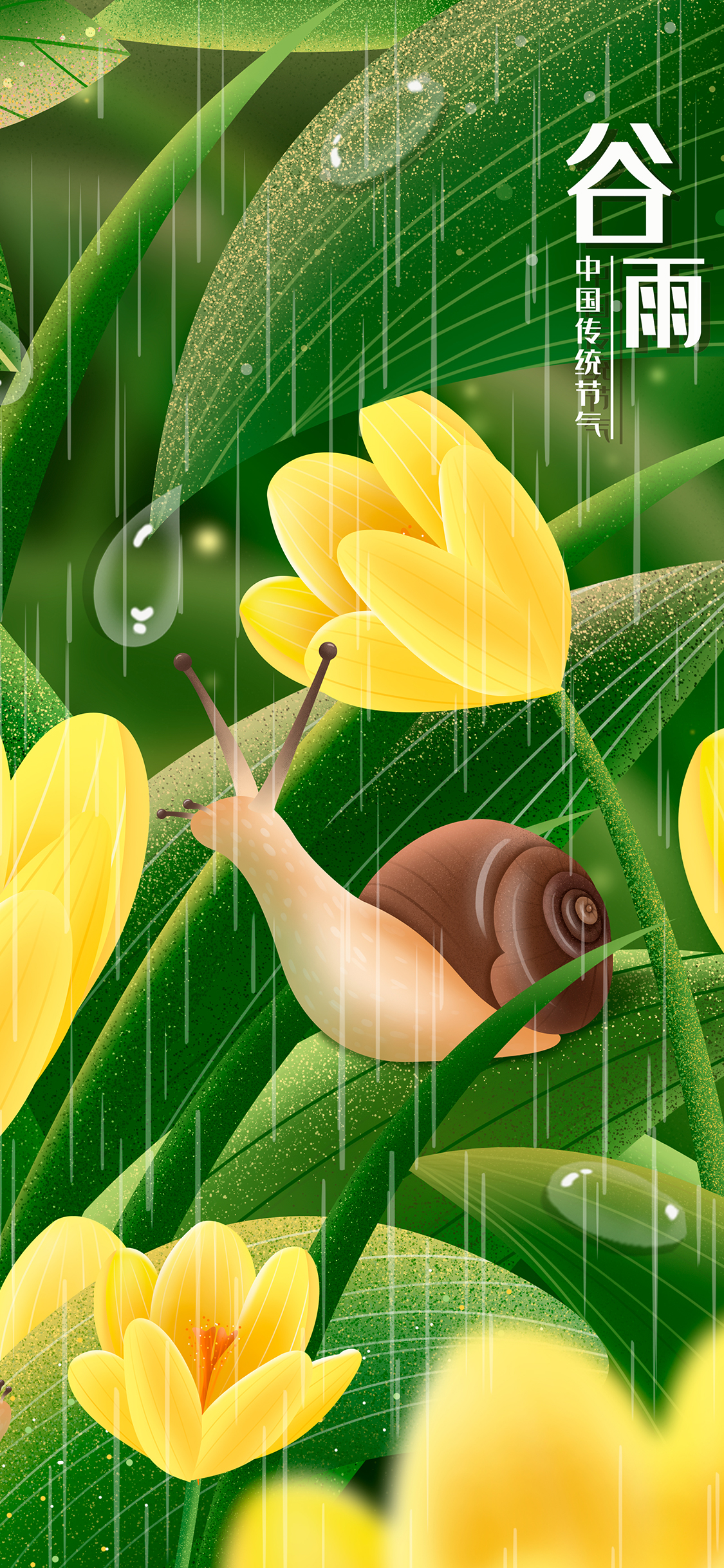 手机型号壁纸图片,169手机壁纸尺寸