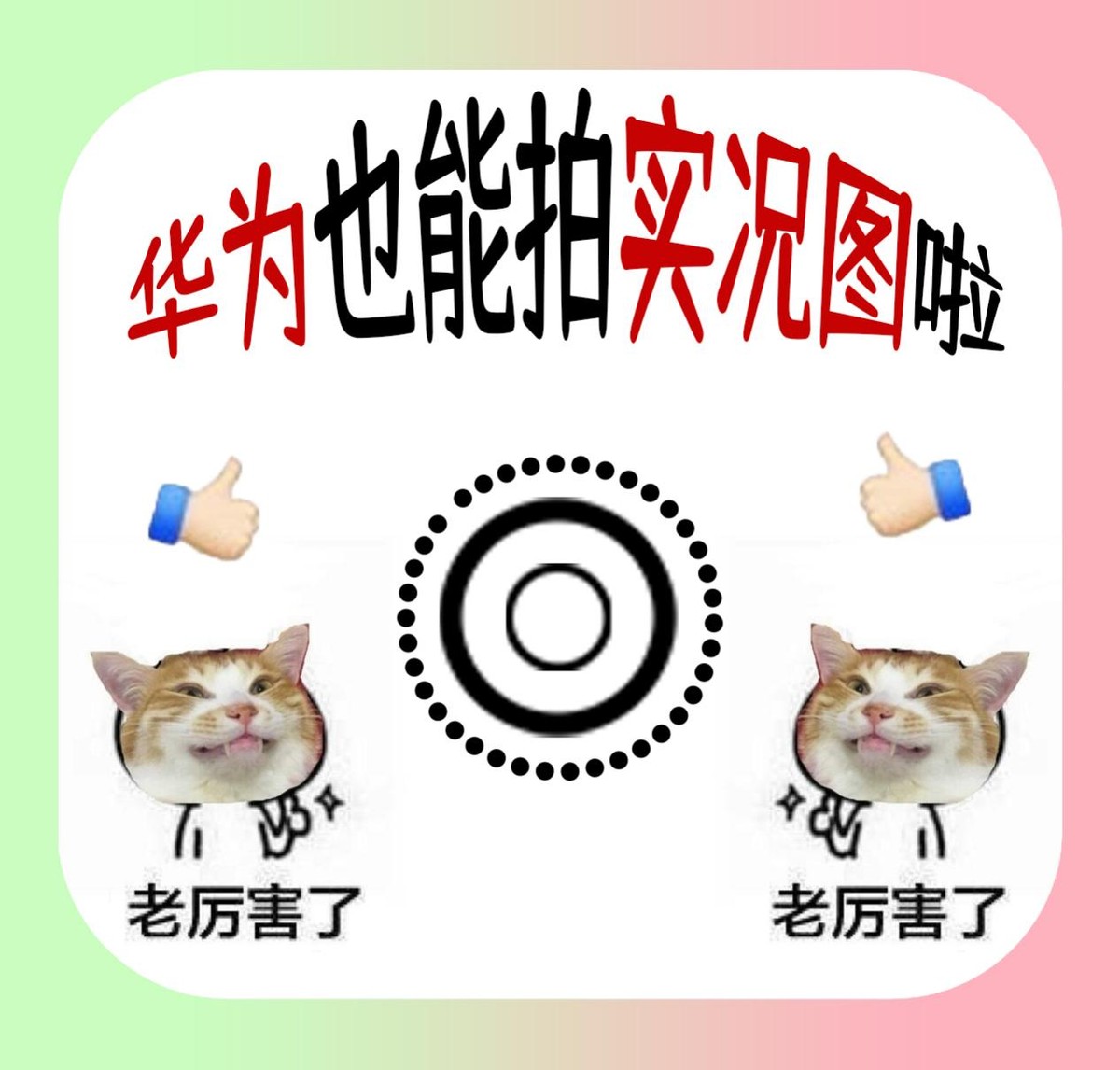 华为能拍live图的软件,华为也能拍动态照片