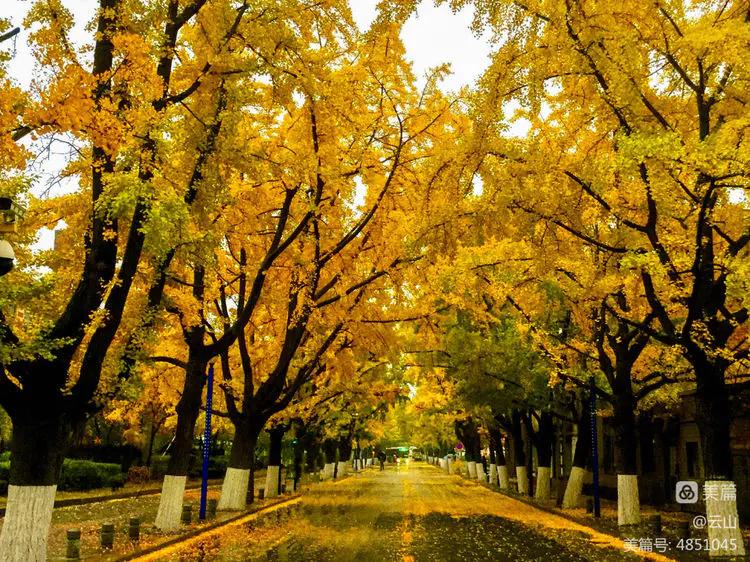 画意风光,画意风光摄影