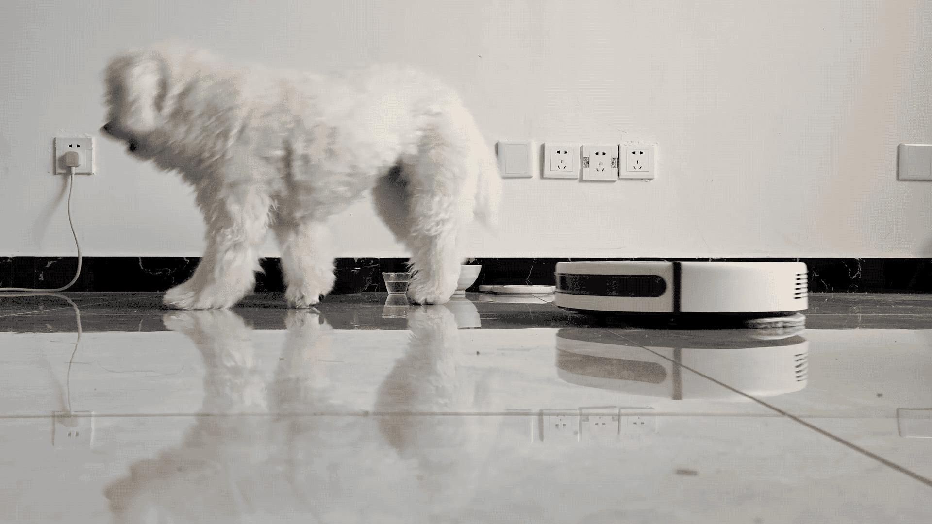 浦瑞克全自动扫地机器人,浦瑞克扫地机器人怎么用教程