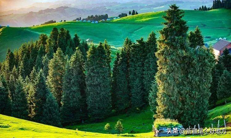 暑假北疆旅游攻略详细,五一适合去南疆还是北疆