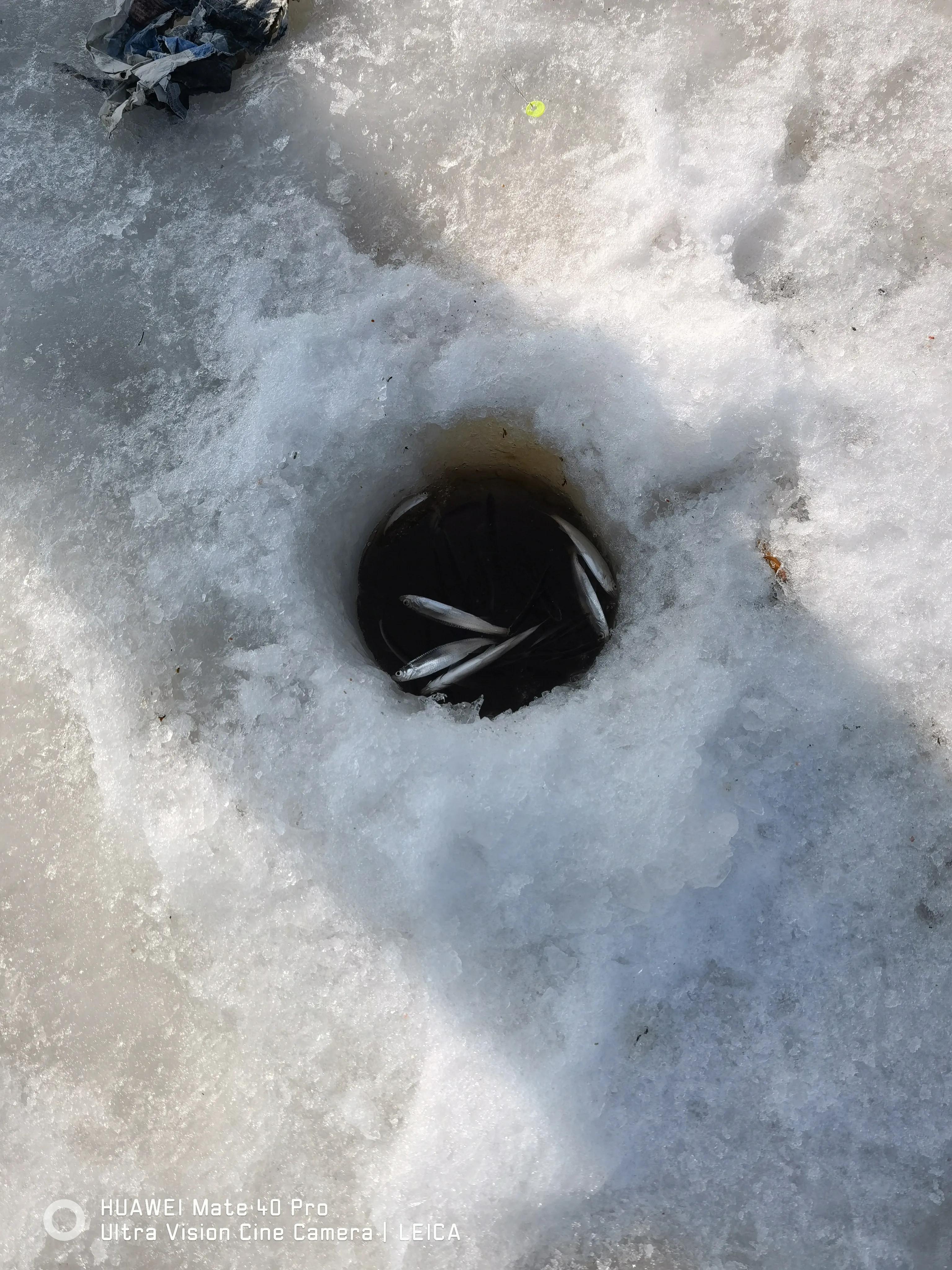 2024不知道该打工还是创业,2023年是创业还是上班