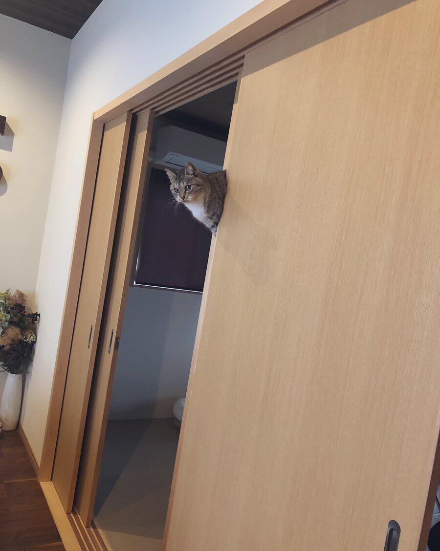 鏃ュ啗鍏借褰╄壊鐓х墖,渚靛崕鏃ュ啗鍏借缁濈増鐓х墖