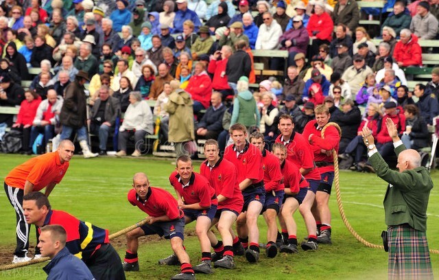 贵宾犬的生活常识,贵宾犬冷知识100条