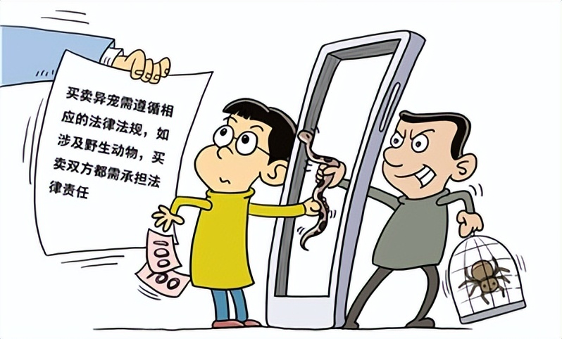 异宠难道是异常的宠物吗,异宠到底算不算宠物