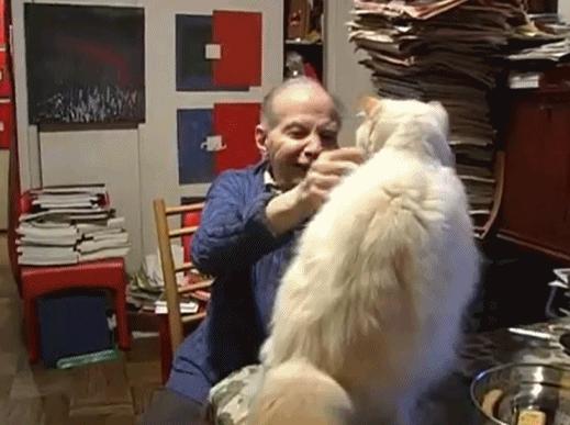 丁克家庭晚年现状,丁克家庭的去世无人知