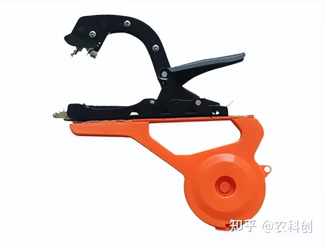 葡萄绑枝器哪个牌子好,葡萄绑枝的最佳方法