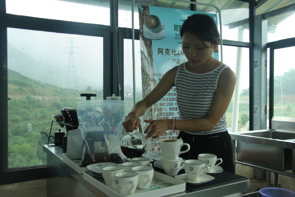 农村振兴农民致富,乡村振兴脱贫致富项目