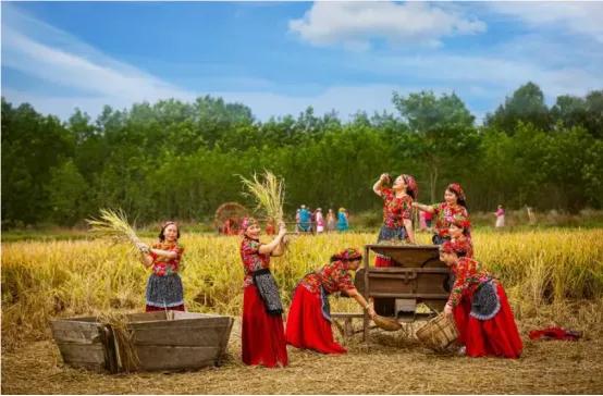 菜吧：采摘、垂钓、认养做不好？这样升级还能找条活路