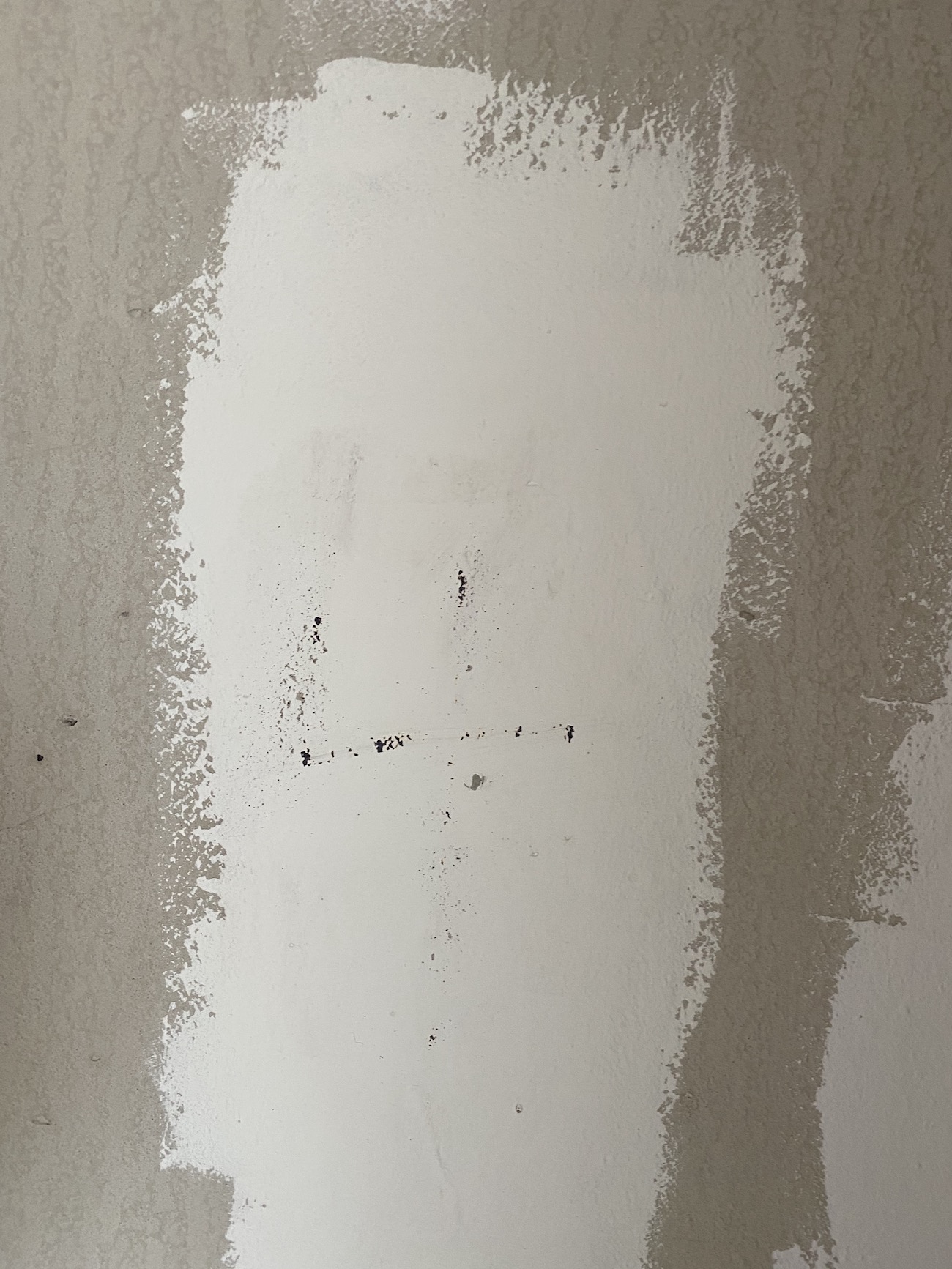 2021最流行什么牌子乳胶漆,2023年乳胶漆十大排行榜