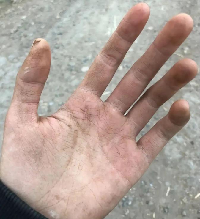 百万网红要切子宫换女儿抚养权，却被前夫指控出轨？后续反转曝光