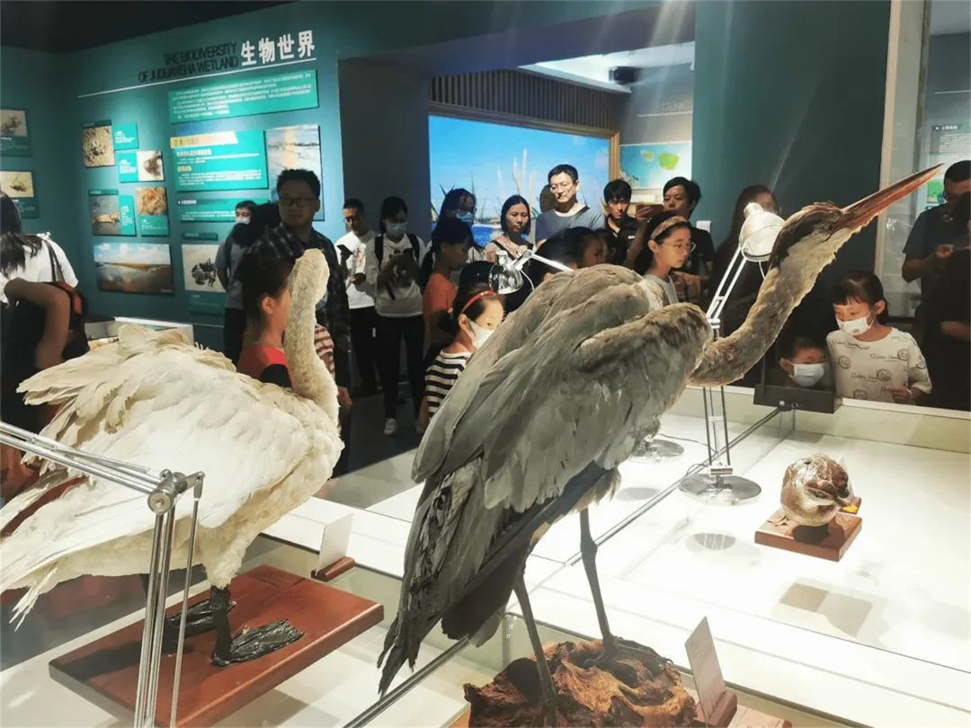 上海地铁通到十大景点,上海地铁沿途有什么旅游景点