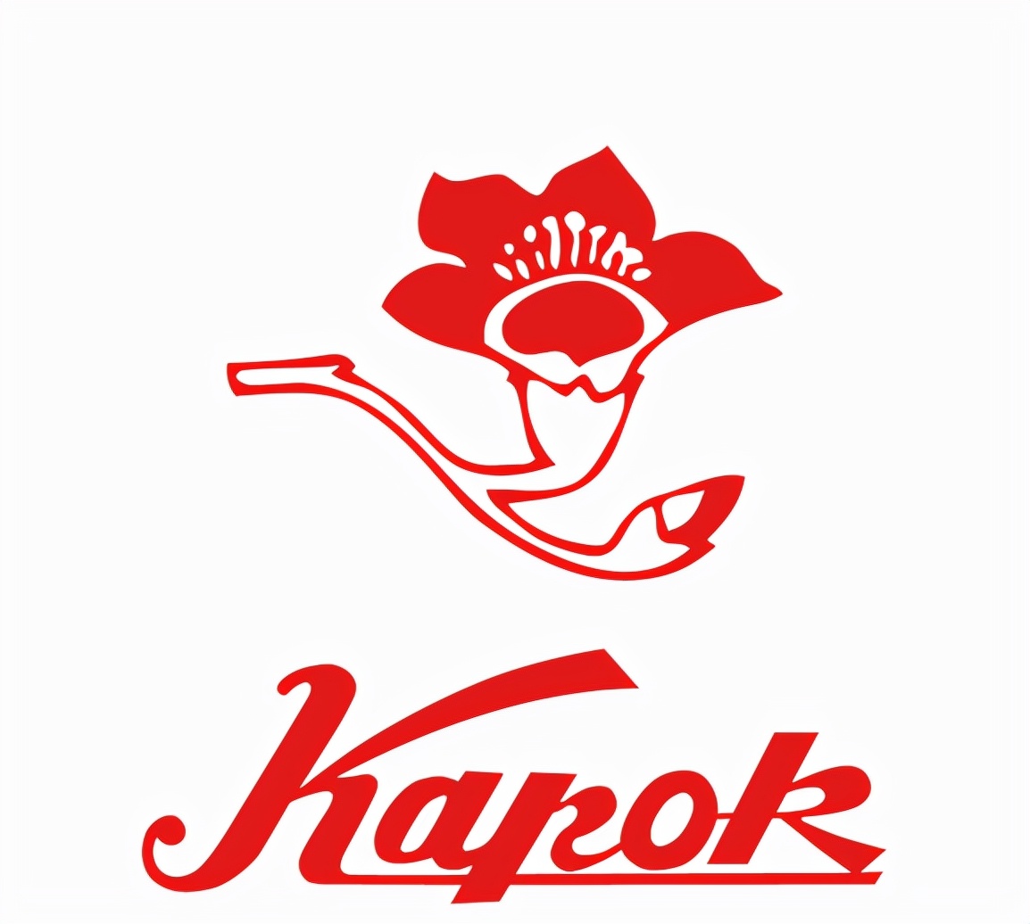 泰勒吉他的历史,泰勒吉他品牌哪一年创立的